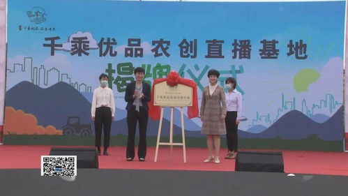 呂藝鎮(zhèn)啟動(dòng)紅色高家渡文化旅游暨萬壽菊賞花活動(dòng)，以花為媒深化文化藝術(shù)交流